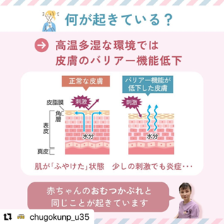 インスタグラムの投稿