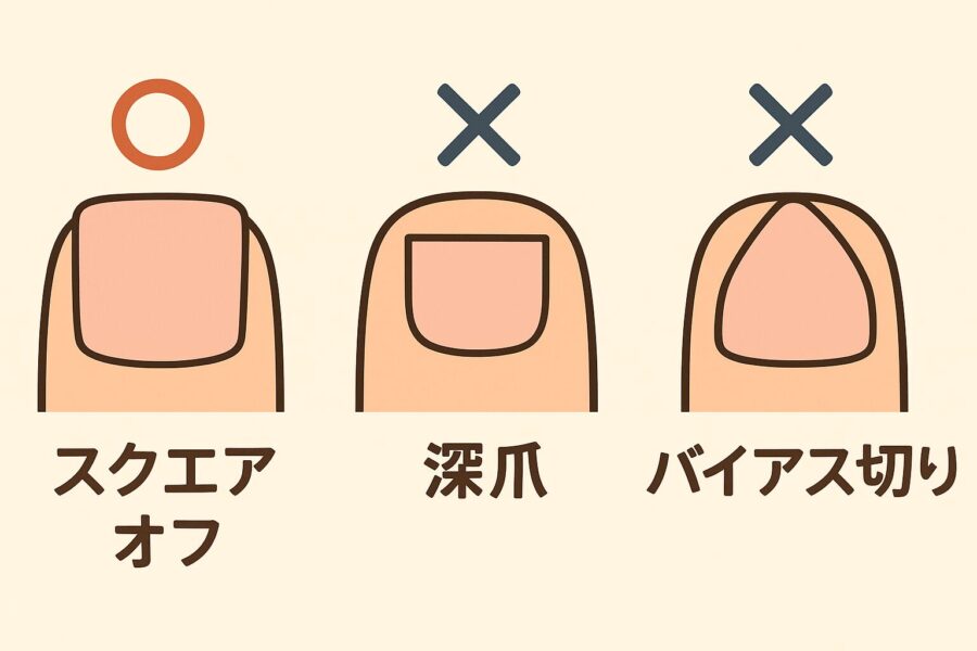 爪の正しい切り方